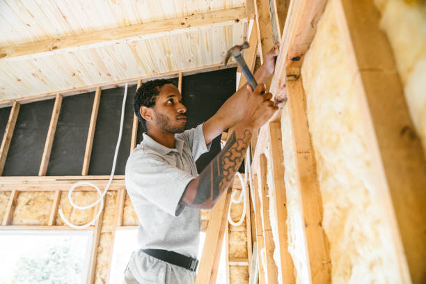 Best Insulation Replacement Services  in Bisbee, AZ
